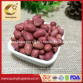 New Crop Peanut Kernels with High Protein